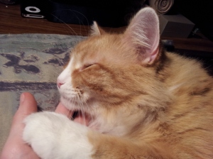 Apparently my hand makes a lovely pillow