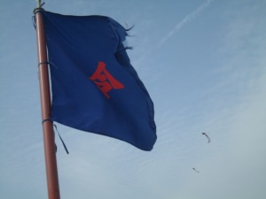 Flag at Hwaseong with Kites